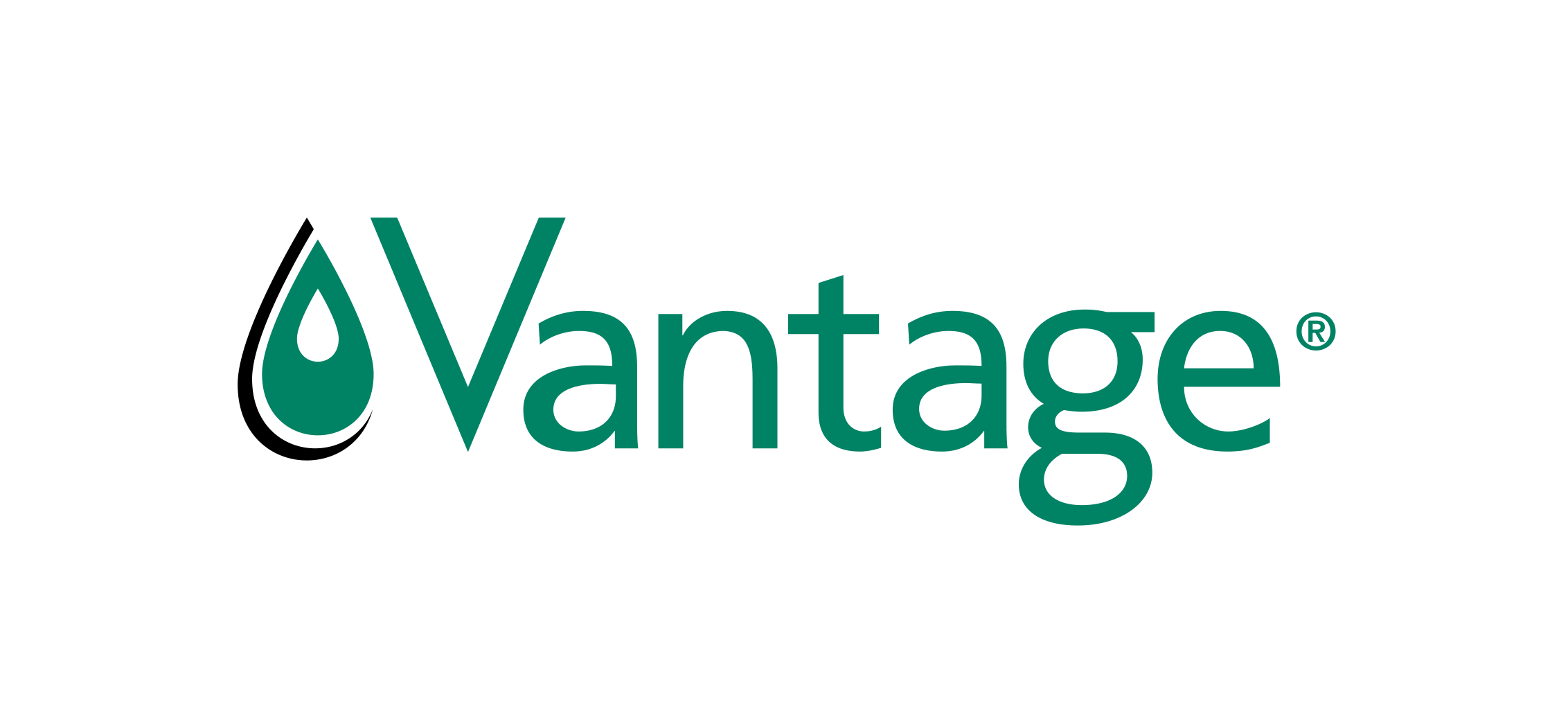 Vantage_Logo_Green_Black_RGB_Registered (1).png